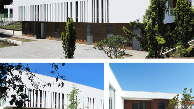 Villa Ana