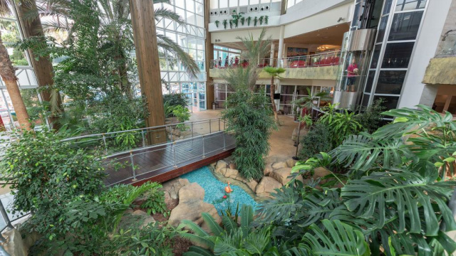 Hotel Flamingo Oasis